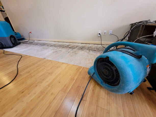 Professional Sewage Cleanup technician working in West Long Branch, NJ